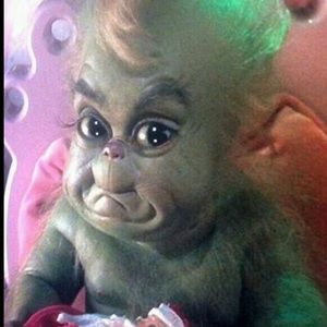 Meet your Posher, Ivan